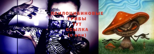 ГАЛЛЮЦИНОГЕННЫЕ ГРИБЫ Навашино
